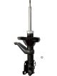 Roadsafe STR Sealed Strut