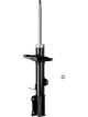 Roadsafe STR Sealed Strut