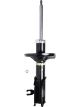 Roadsafe STR Sealed Strut