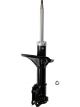 Roadsafe STR Sealed Strut