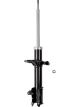 Roadsafe STR Sealed Strut