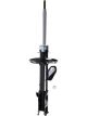 Roadsafe STR Sealed Strut