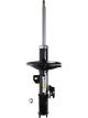 Roadsafe STR Sealed Strut