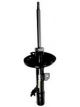 Roadsafe STR Sealed Strut