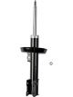Roadsafe STR Sealed Strut