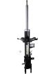 Roadsafe STR Sealed Strut