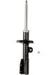 Roadsafe STR Sealed Strut