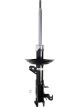 Roadsafe STR Sealed Strut