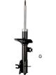 Roadsafe STR Sealed Strut