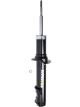 Roadsafe STR Sealed Strut