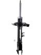 Roadsafe STR Sealed Strut