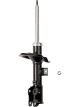 Roadsafe STR Sealed Strut