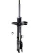 Roadsafe STR Sealed Strut