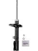 Roadsafe STR Sealed Strut