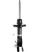 Roadsafe STR Sealed Strut