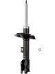 Roadsafe STR Sealed Strut