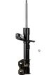 Roadsafe STR Sealed Strut