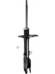 Roadsafe STR Sealed Strut