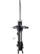 Roadsafe STR Sealed Strut