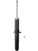 Roadsafe STR Sealed Strut