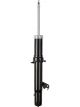 Roadsafe STR Sealed Strut