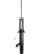 Roadsafe STR Sealed Strut