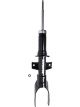 Roadsafe STR Sealed Strut
