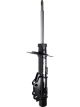 Roadsafe STR Sealed Strut