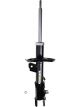 Roadsafe STR Sealed Strut