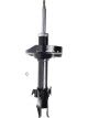 Roadsafe STR Sealed Strut