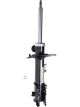 Roadsafe STR Sealed Strut