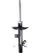 Roadsafe STR Sealed Strut