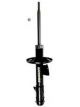 Roadsafe STR Sealed Strut