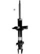 Roadsafe STR Sealed Strut