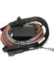 Haltech Elite 2500 & 2500 T Premium Universal Wire-in Harness 3M