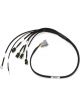 Haltech Elite 1000/1500 Terminated Ignition Harness Fits Mazda 13B