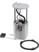 Icon Electronic Fuel Pump Assembly