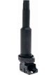 PAT Ignition Coil