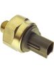 PAT Knock Sensor