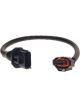 Raceworks BA/BF Map Conversion Loom Non Turbo To Turbo 445mm