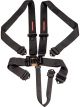 Raceworks Black 5Point Sfi Latch & Link Harness 3In Belts