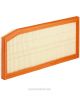 Ryco Air Filter