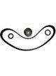 BWS Timing Belt Kit