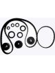 BWS Timing Belt Kit