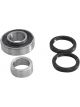 GSP Bearing