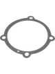 Proflow Water Pump Gasket Fits Ford Falcon Barra 4.0L BA-FG