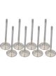 Proflow Maxflow Stainless Valves Fits Holden 2.050in Set of 8