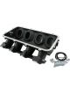 Aeroflow LowRise NON-EFI GM LS Cathedral Port Intake Manifold Base