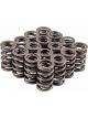 Melling Mellings GM LS Dual Valve Springs Set 1.350in OD 160LBS