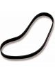 Weiand Serpentine Supercharge Drive Belt Suit Weiand 177 10 Rib 50.4in